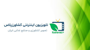 هواشناسی 1404/02/15 رگبار و رعدبرق در شمال‌غرب و گردوخاک در جنوب و تهران و البرز